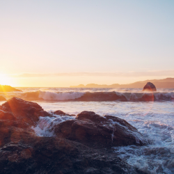 Why the Weather Forecast Makes Us Soft