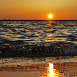 When is it okay to “check out”?