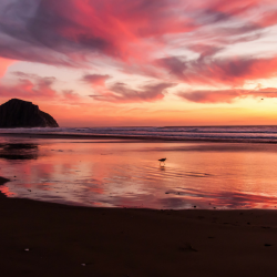 Why you can’t fight someone else’s demons